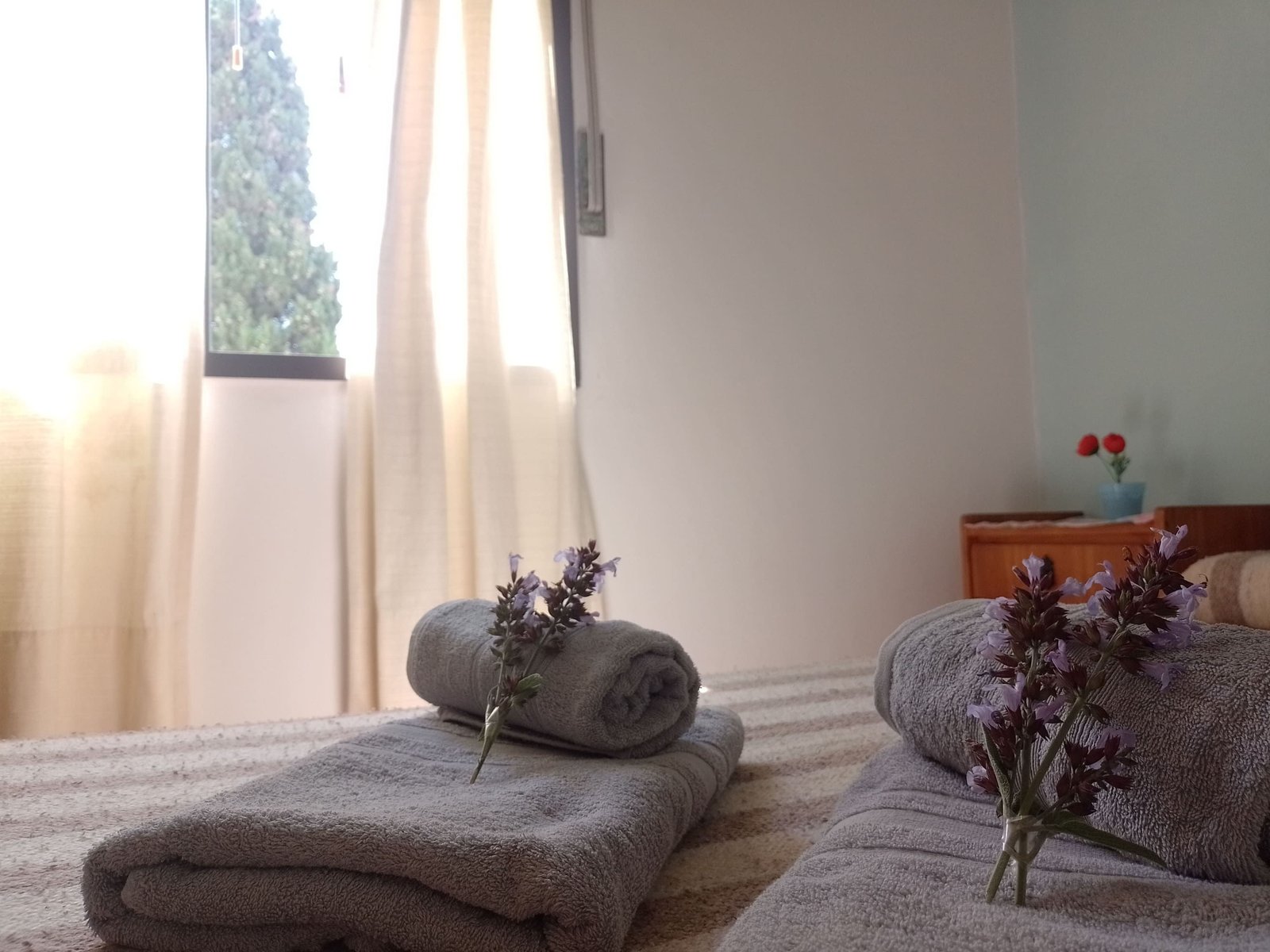 Instalaciones del Hotel Eluney